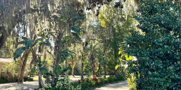 Serenity Springs Recovery Center